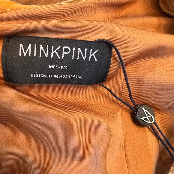 NWT MINKPINK Meknes Ruched mini VELVET DRESS - Picture 7 of 11